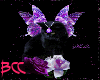 [BCC]Hello Purple Cat