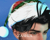XMas Santa Hat V1