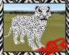 Safari Snow Leopard