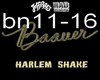 Baauer - Harlem Shake 2