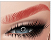 Red Eyebrowes
