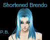 Icy Shortened Brendo