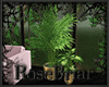 RB| MPG Plants