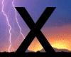 "X" Banner