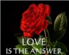 Love is the Answer