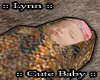 Lynn::Kesian Baby Ni