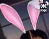 Ӂ Pure bunny ears!