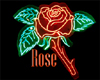 BBJ Neon Rose Rose