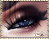 |M. Beauty Blue Eyes |