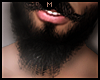 M Beard►.HKX.