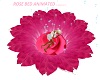PINK ROSE BED ANIMATED