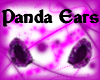 Purple Panda Ears [F]