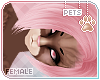 [Pets] Dexi | hair v8