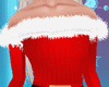 Christmas Dress / Santa