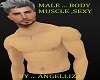 M MUSCLE BODY SEXY