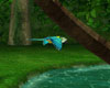 ~cas~Tropical Parrot Fly