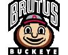 (AK)Brutus buckeye