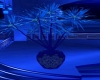 Blue Room Plant