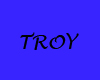 Troy