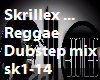 Skrillex Reggae Dubstep