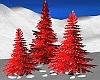 Snowy Red Pines
