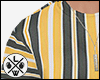 Stripped Shirt