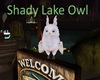 Shady Lake Owl