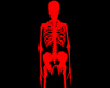 Bloody Skeleton