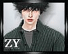 ZY: NERD Casual SHirts