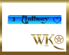 [WK] Anthony