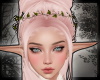 + Timeless Bun - blush
