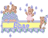 Shae Sticker