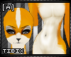 [A] Orange Fox Kini