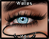 v. Welles: Lashes (F)
