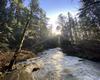 NRose's Pics Nature A19