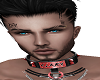 Jace Collar Custom