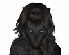 Black Wolf Head
