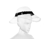 𝒫𝐹. DR Hat