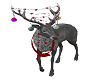 Xmas Deer