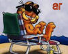 Garfield at the Beach