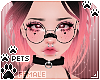 [Pets] Cass | Alina