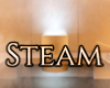 Steam Steam B3