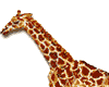 animatie giraf