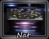 NT Wild FishTank