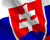 Slovakia Hand Flag F-M