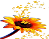 Sunflower Sticker2