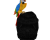 Pirate Parrot Barrel