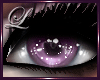 *Lb* Eyes *16* Purple