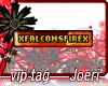 j| Xfalconsfirex-