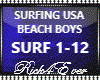 SURFING USA